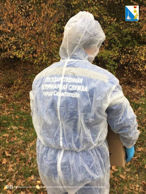 ������ �� ���������. � ����������� ����������� ����� �������� �� ���������