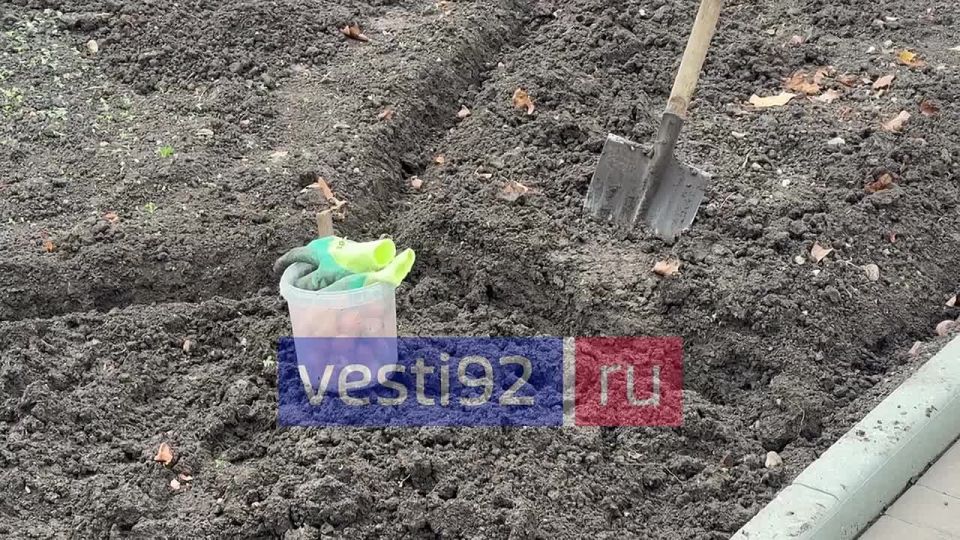 �� ������� ����������� ���������� �������� ������, ������� ����������� ������