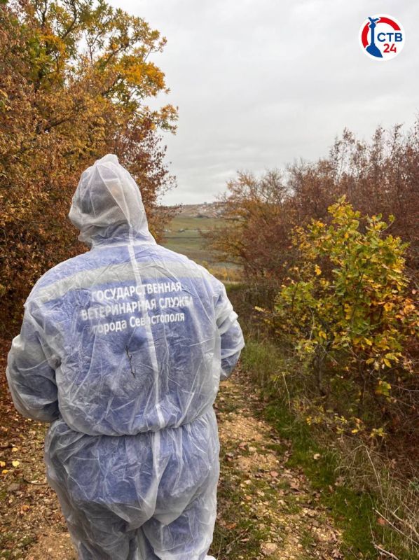 � ����� ����������� ������������ ��������� ������� �� ��������� ��� ����� ��������