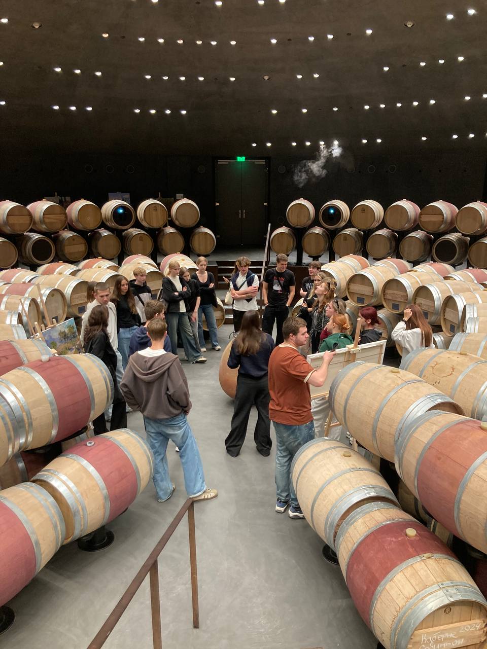 Студенты СевГУ за день собрали 70 килограммов оливок в винном парке «Мрия» Студенты СевГУ за день собрали 70 килограммов оливок в винном парке «Мрия»