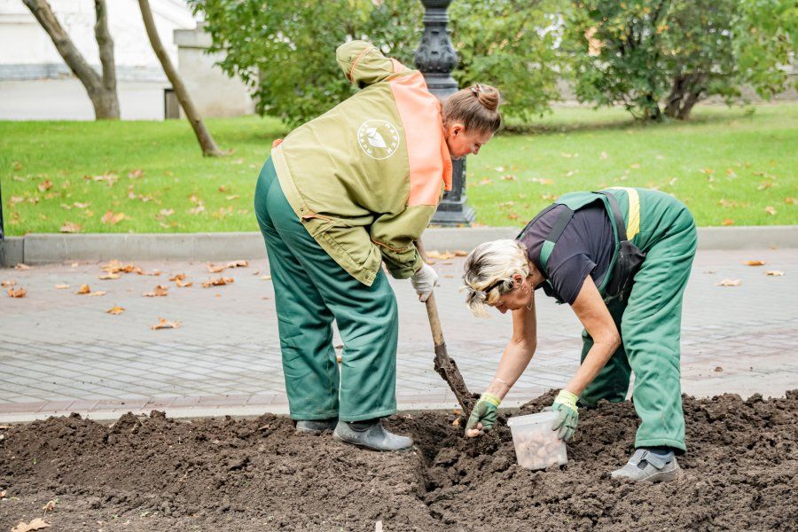 �� ���������� �������� ������� 40 ����� ������� ���������