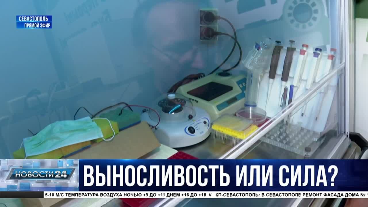 Даже школьник расшифрует ДНК