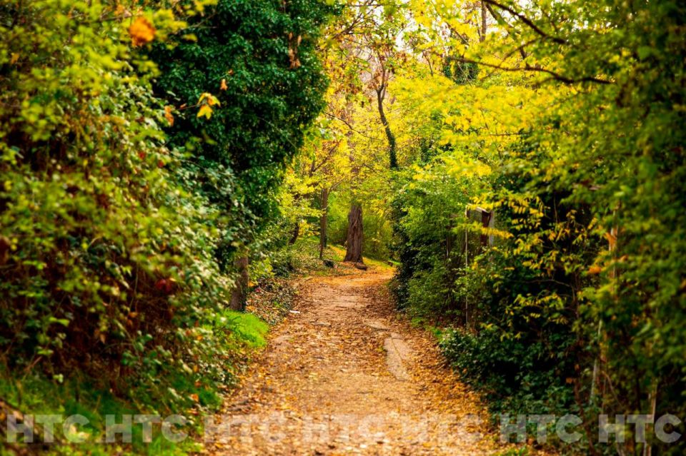 ������ ��� �����: ��� �������� �����������, ����� � ������ ��� ��� ����