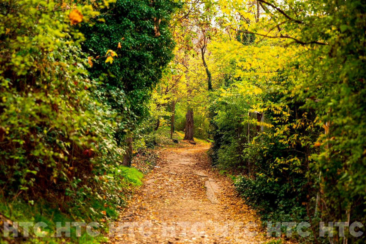 Ноябрь без шапки: как выглядит Севастополь, когда в Сибири уже идёт снег Ноябрь без шапки: как выглядит Севастополь, когда в Сибири уже идёт снег