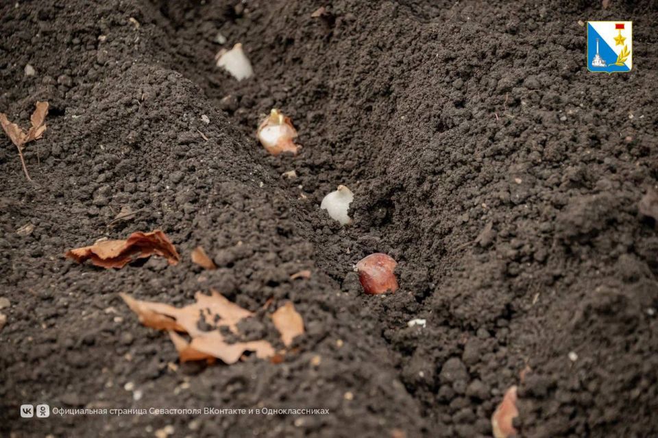 �������� ���������� � �����