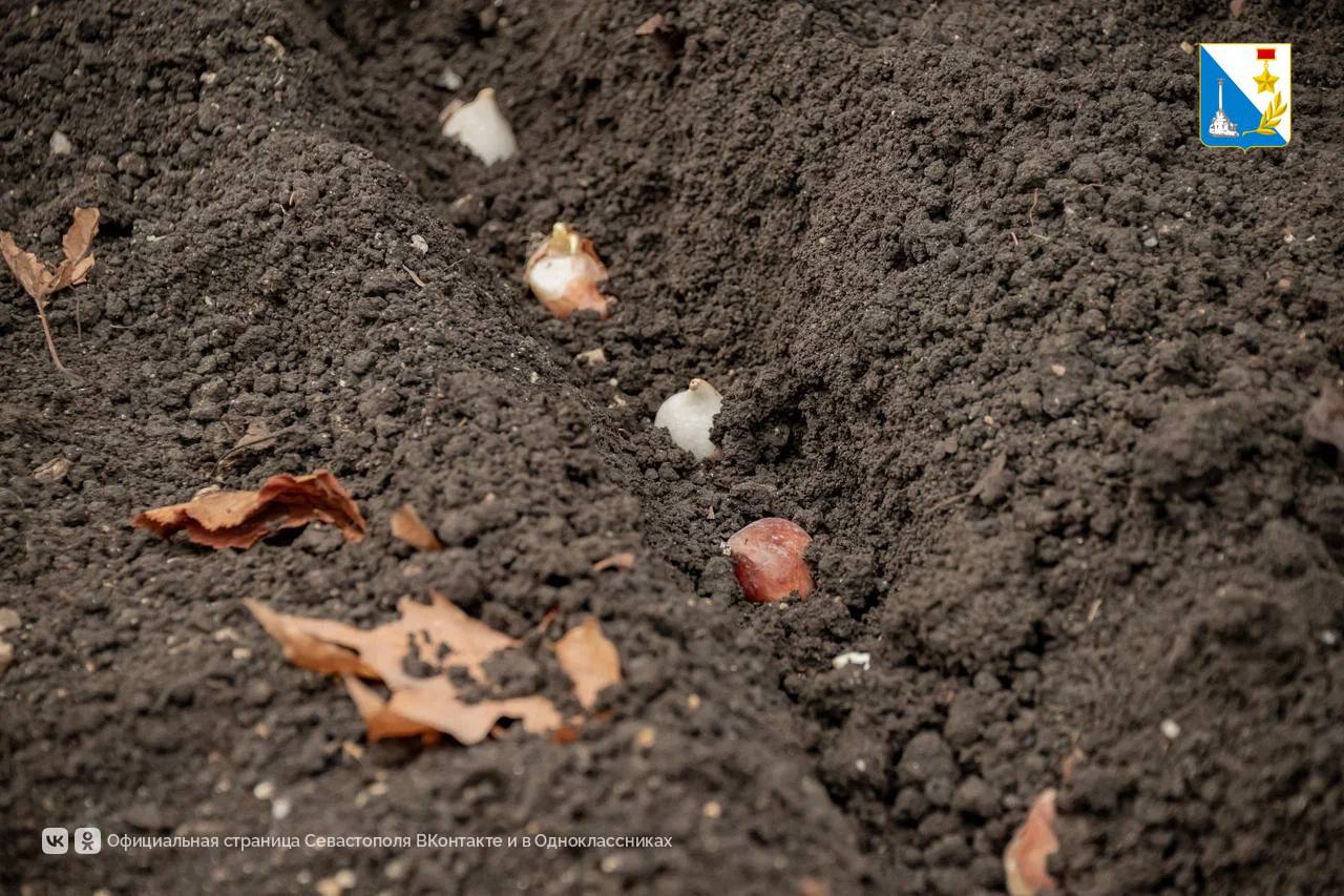 Начинаем готовиться к весне Начинаем готовиться к весне