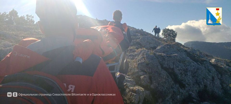 ��������� ������������ ������������ � ���� �������-���