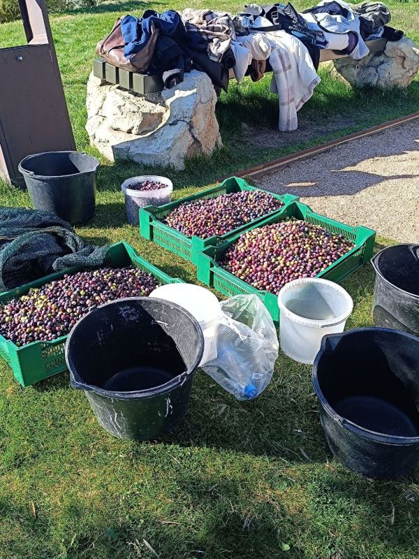 �������� ����� �� ���� ������� 70 ����������� ������ � ������ ����� ������