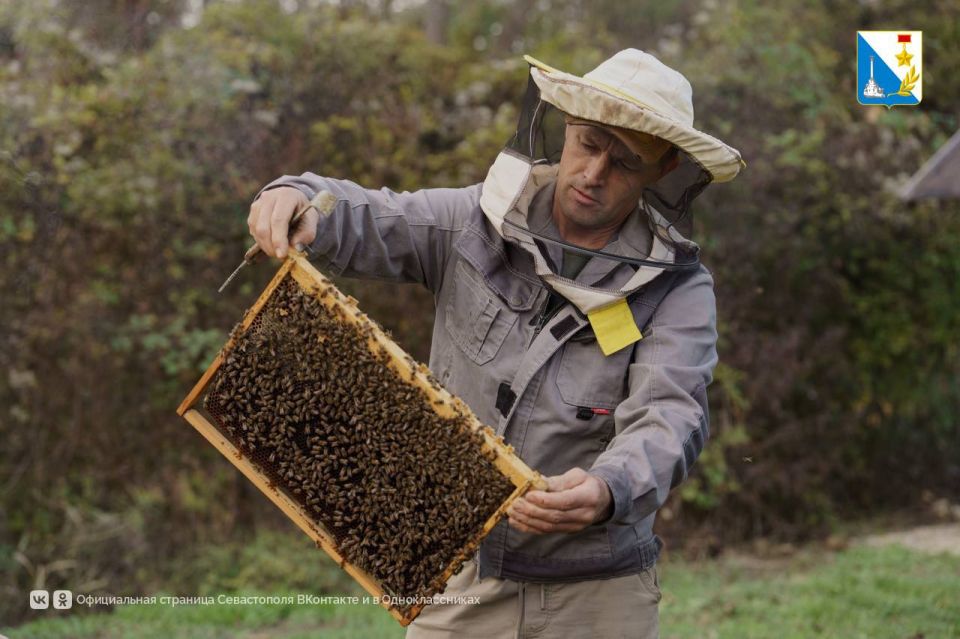  .     2018    2       ,      ,     