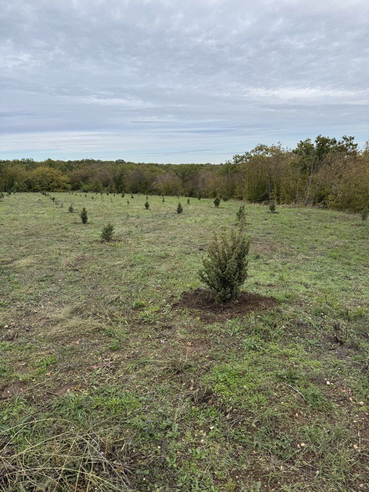 В Севастополе завершён важный этап рекультивации свалки «Суздальские высоты» В Севастополе завершён важный этап рекультивации свалки «Суздальские высоты»