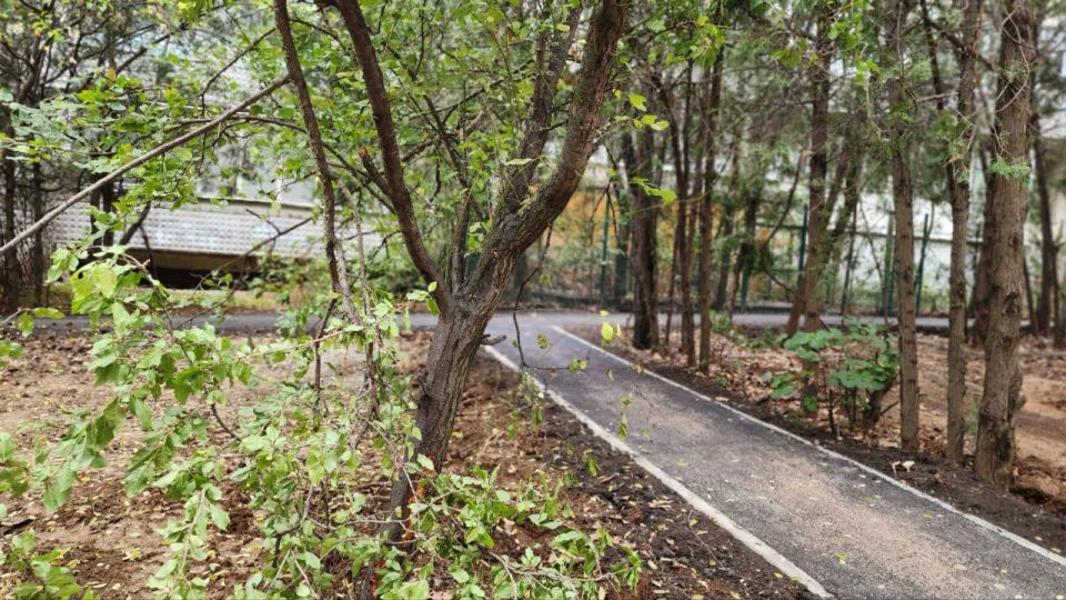 ��������������� � ����������� ������������