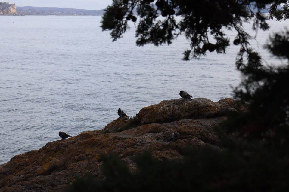 ������� ������ � ����� �� 7 ������