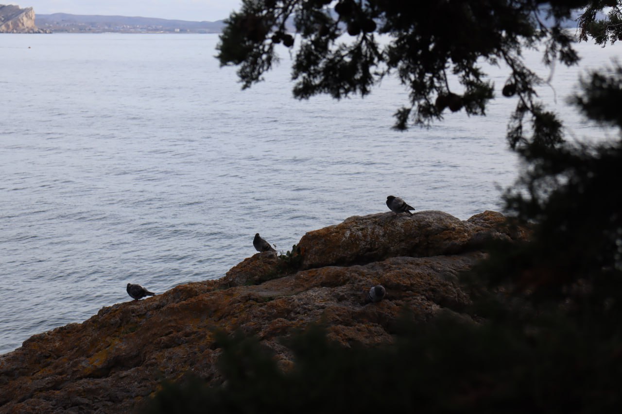 Прогноз погоды в Крыму на 7 ноября