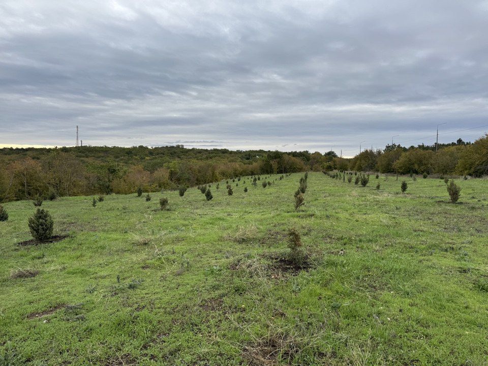 � ����������� ��������� ������������� ������ ������ ������������ �������