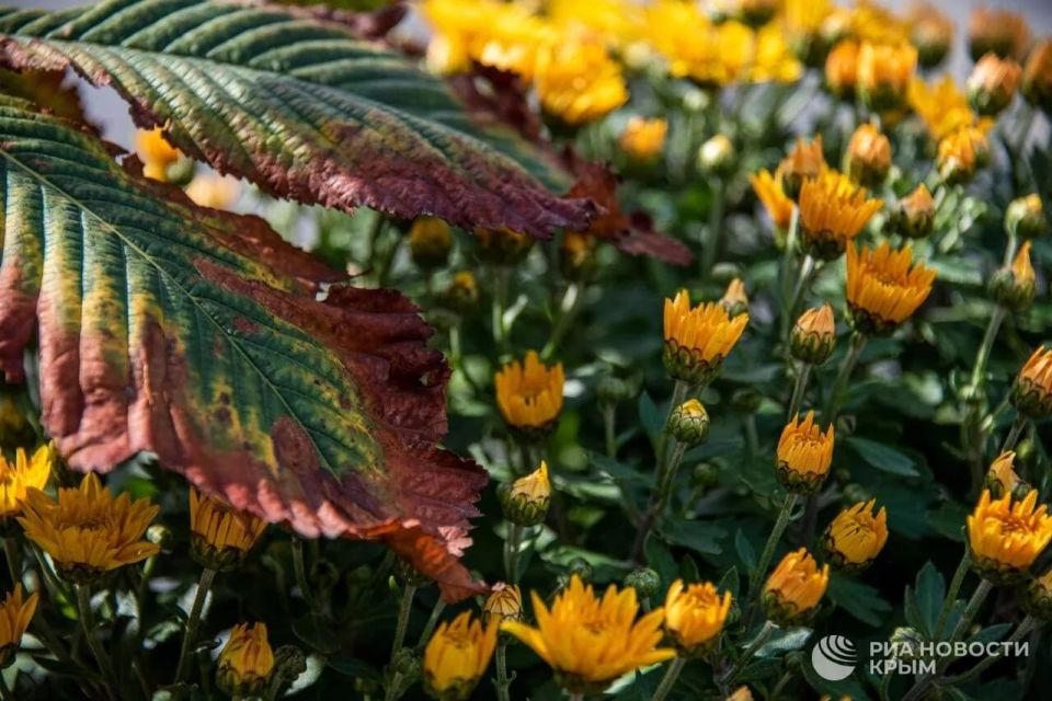 ������� ������ � ����� �� �������