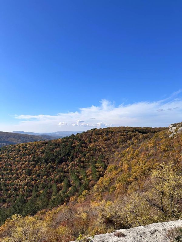 ������ ����, ����������� !