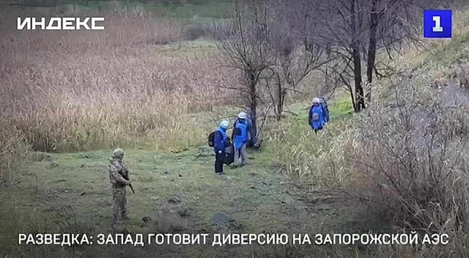 ����� ������������� ����������� �������� �� ����������� ��� � ������������� �������� ���� � ������� ���������