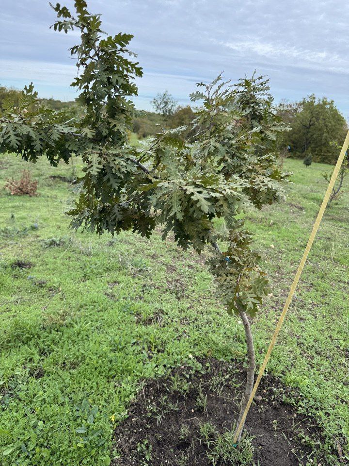В Севастополе завершили рекультивацию бывшей свалки «Суздальские высоты» В Севастополе завершили рекультивацию бывшей свалки «Суздальские высоты»
