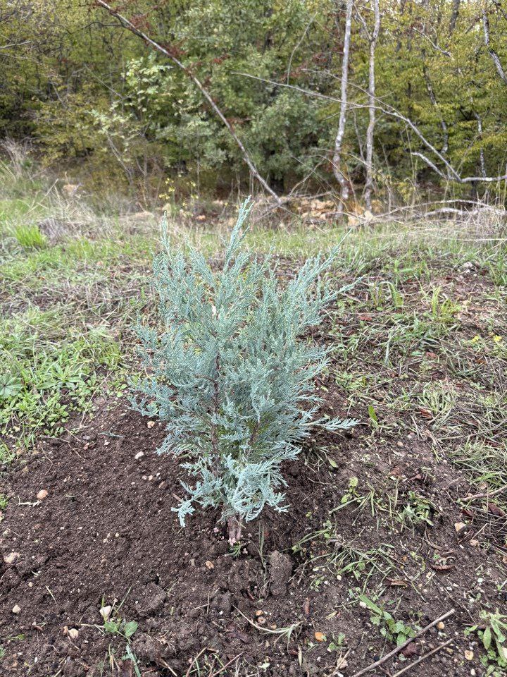 В Севастополе завершён важный этап рекультивации свалки «Суздальские высоты» В Севастополе завершён важный этап рекультивации свалки «Суздальские высоты»
