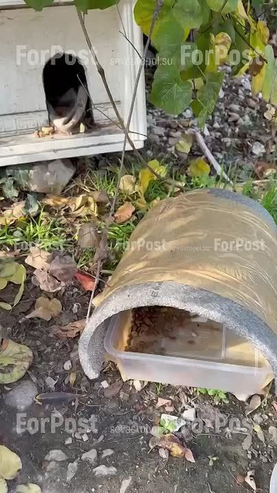 ������� � ������ ����������� ���� ������� � ���� ������ �������