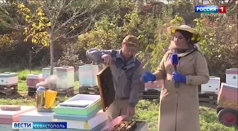 ����� ����� ��� ��������. �� ��������������� ������� ��������� � �������