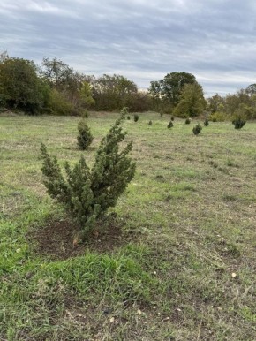 В Севастополе завершён важный этап рекультивации свалки «Суздальские высоты»