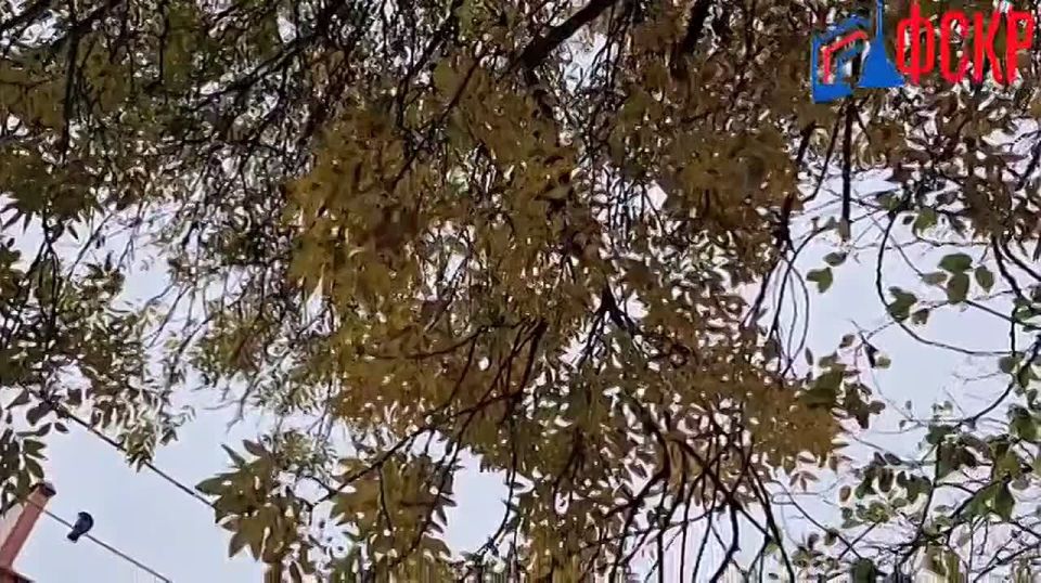 #��������. ������������, ������! ��� � ����������� �������� ������� ������