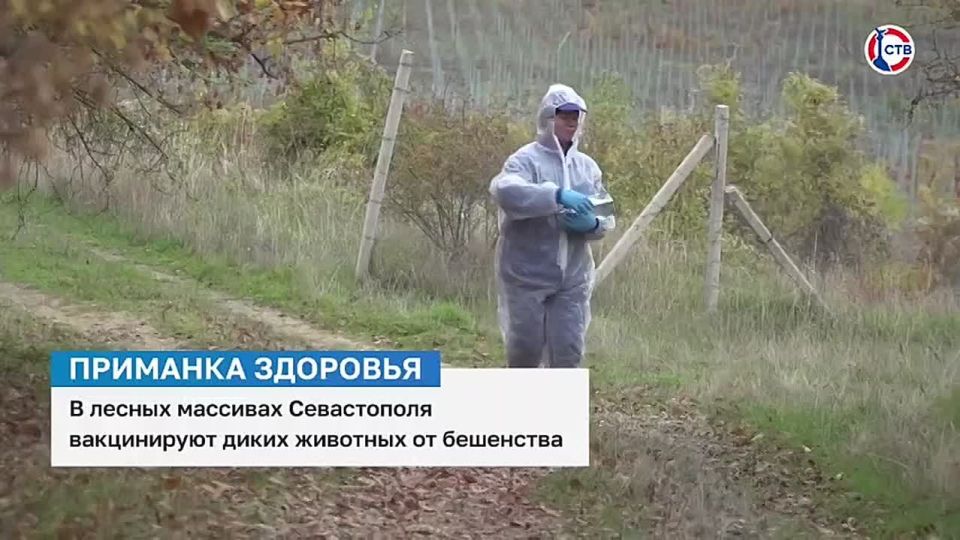 � ����������� ���������� ���������� ��������� ����� ����� ��������