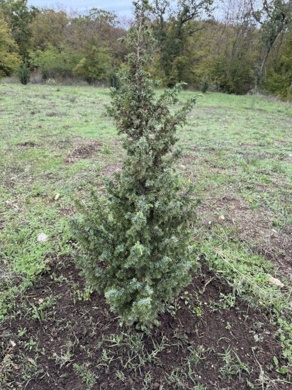 � ����������� ��������� ������������� ������ ������ ������������ �������