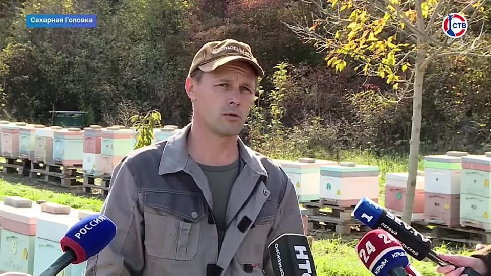 ���������� ������ ����������� ��������� ������������ ��������� ��������� ������������