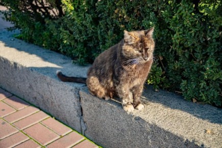 Всем добра и хорошего настроя на пятницу!