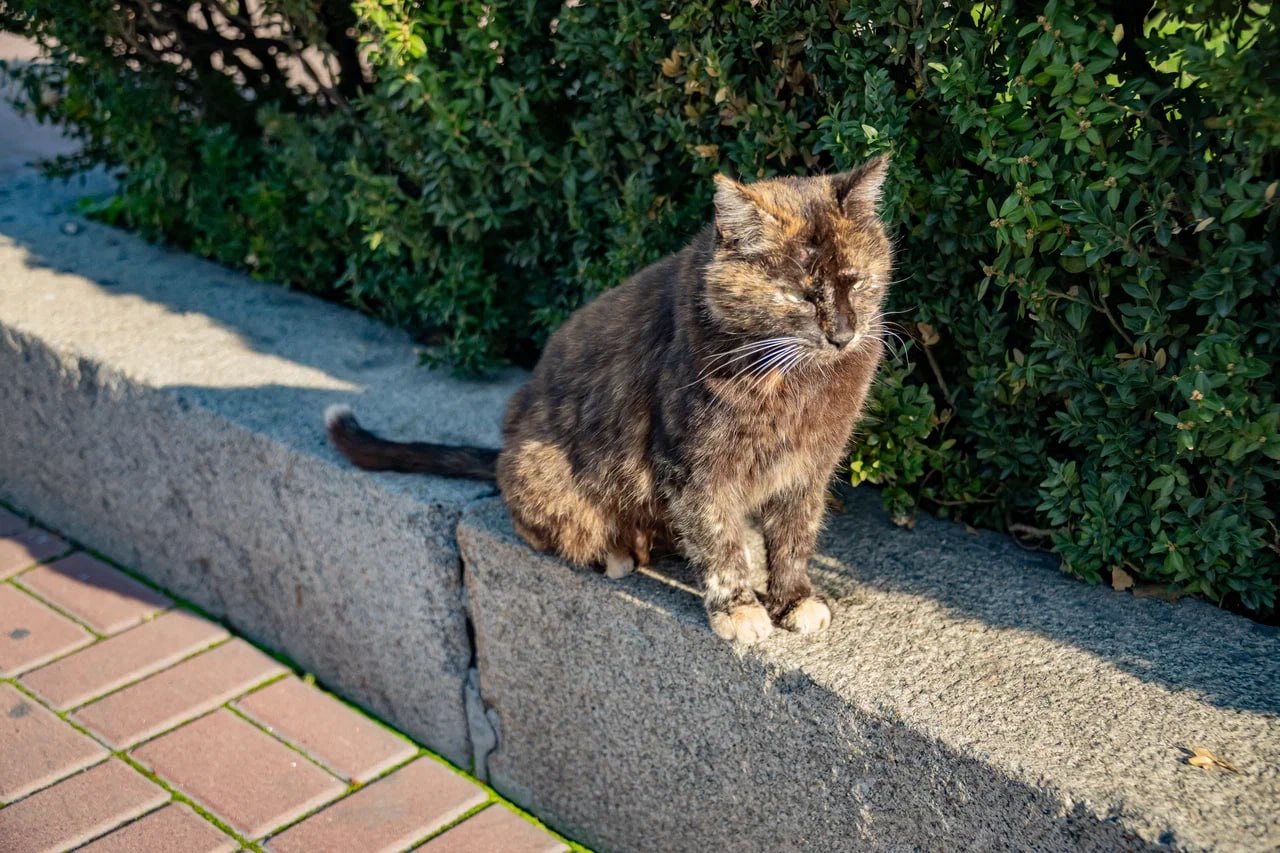 Всем добра и хорошего настроя на пятницу!