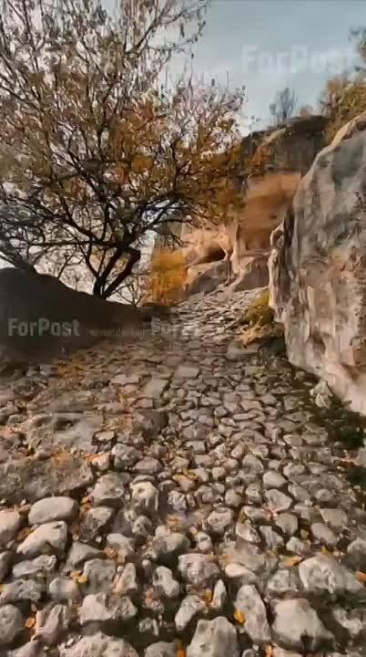 ������� ������� ������� ��� �� �����-����