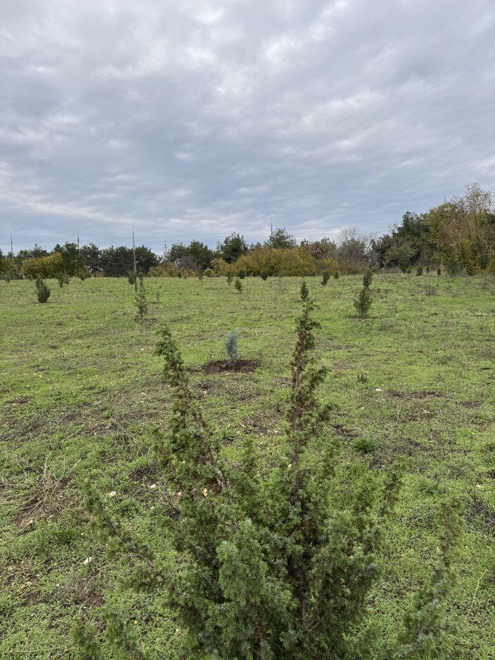 В Севастополе завершён важный этап рекультивации свалки «Суздальские высоты» В Севастополе завершён важный этап рекультивации свалки «Суздальские высоты»