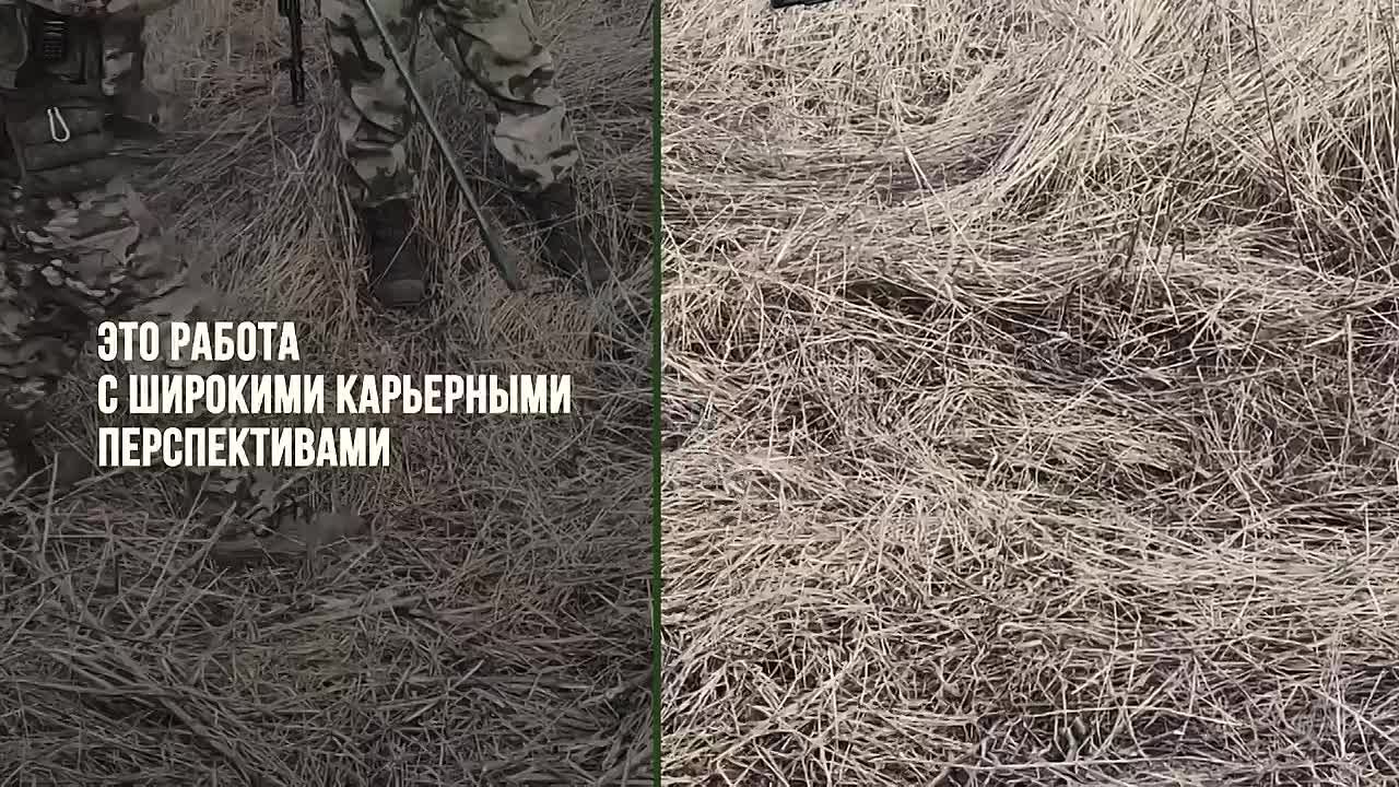 Высокая зарплата, образование и соцгарантии для всей семьи: что еще получают служащие по контракту?