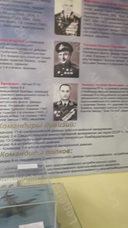 ���� ��������� ����� ����