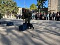 Работу кинологической службы таможни показали школьникам Терновки