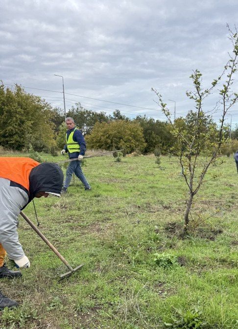 � ����������� �������� ������ ���� ������������� ������ ������������ �������