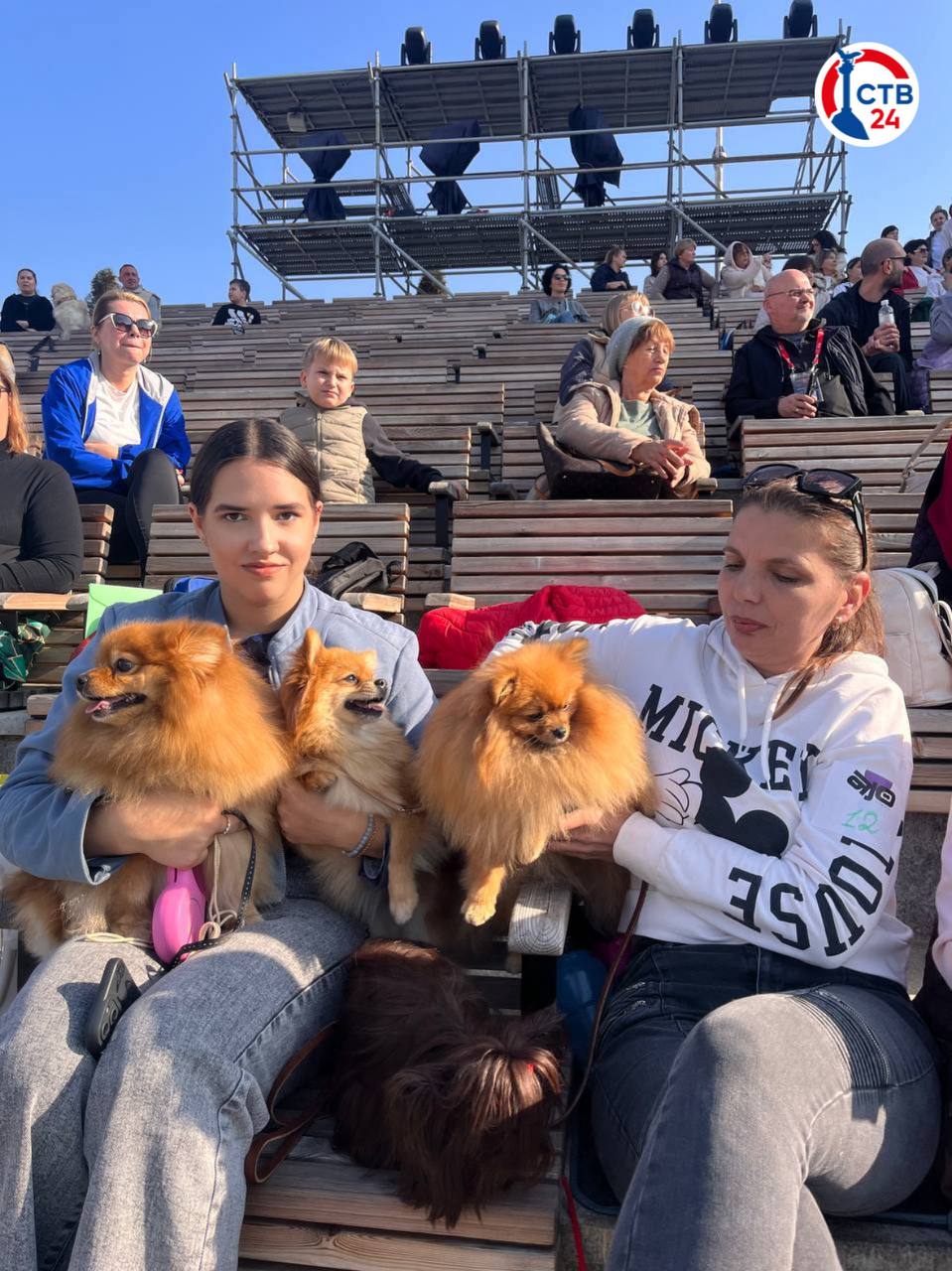 В Новом Херсонесе прошла благотворительная выставка собак «Хрюнстон приглашает друзей» В Новом Херсонесе прошла благотворительная выставка собак «Хрюнстон приглашает друзей»