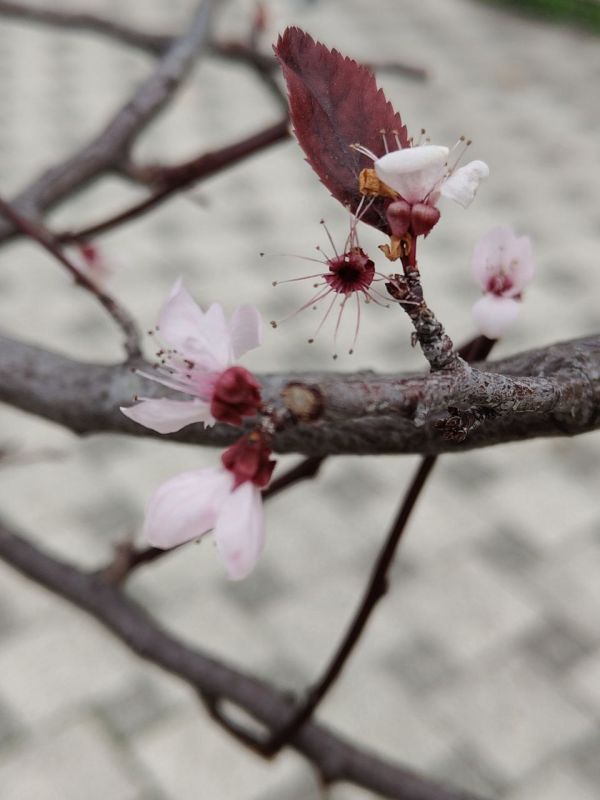 ���� ������� ����������� ����������� ����!