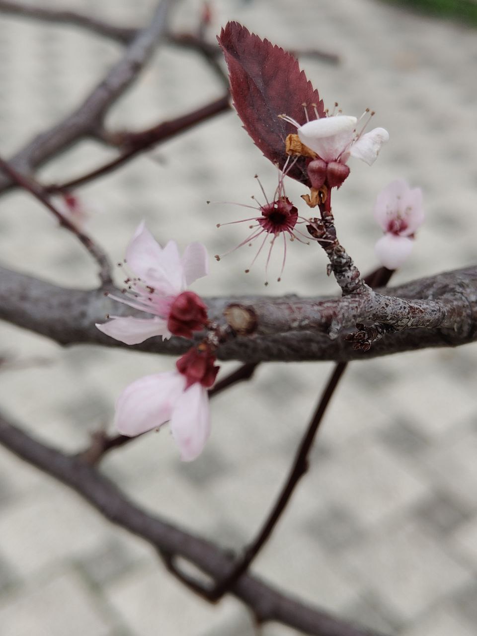 Всем доброго апрельского ноябрьского утра! Всем доброго апрельского ноябрьского утра!