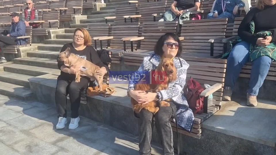 В Новом Херсонесе на Грифон-Арене начинается благотворительная выставка собак