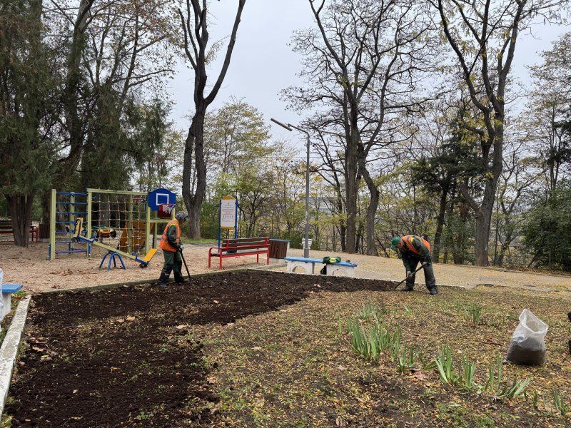 ����������� ������� � ������� �������� �������� ������