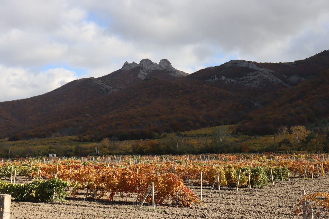 Прогноз погоды в Крыму на 8 ноября