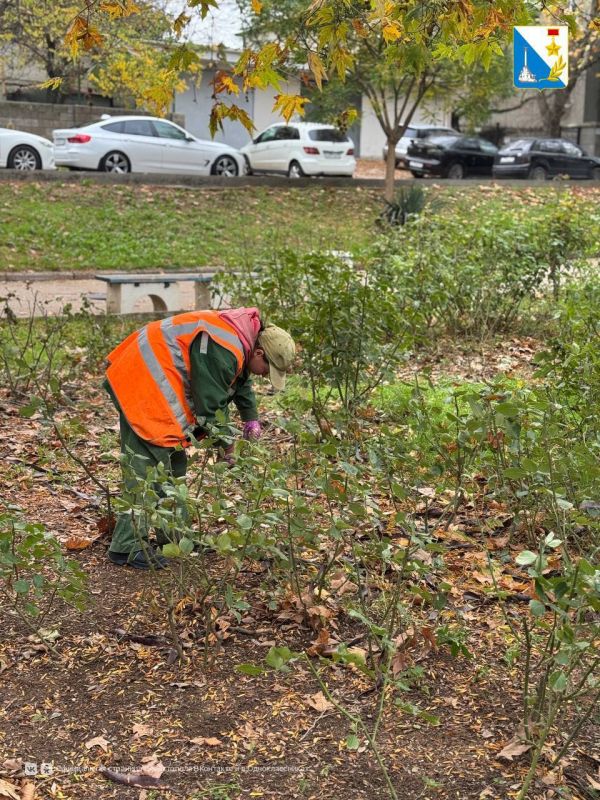 ��������������� ����� ����������� �������� � �������