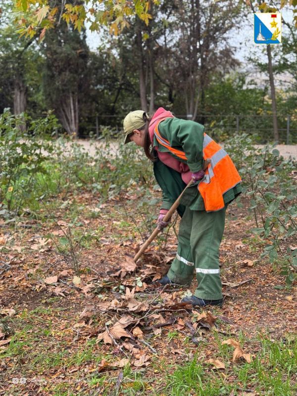 Севастопольские парки специалисты приводят в порядок
