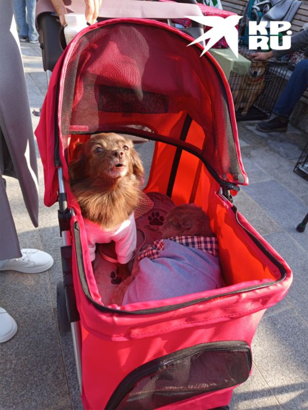 � ����������� ������ �������� �������� ����� ��������� ���������� ������!