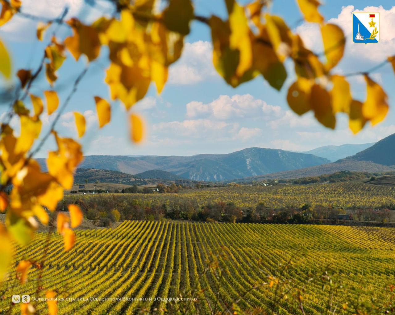 Севастопольские вина завоевали золото, серебро и бронзу в China Wine Competition Севастопольские вина завоевали золото, серебро и бронзу в China Wine Competition