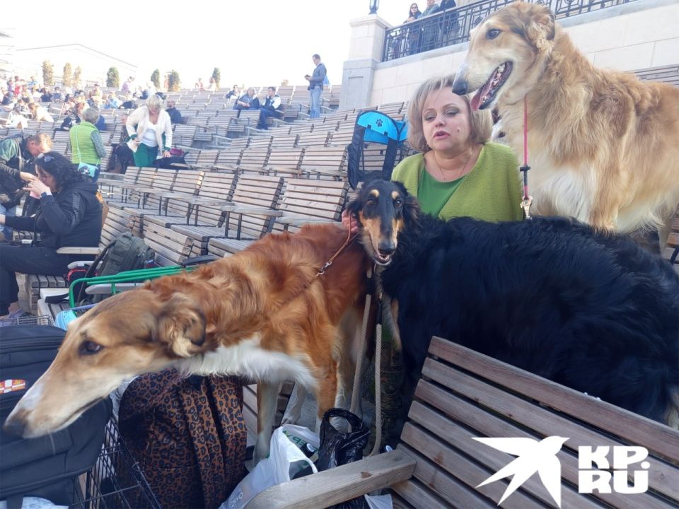 � ����������� ������ �������� �������� ����� ��������� ���������� ������!