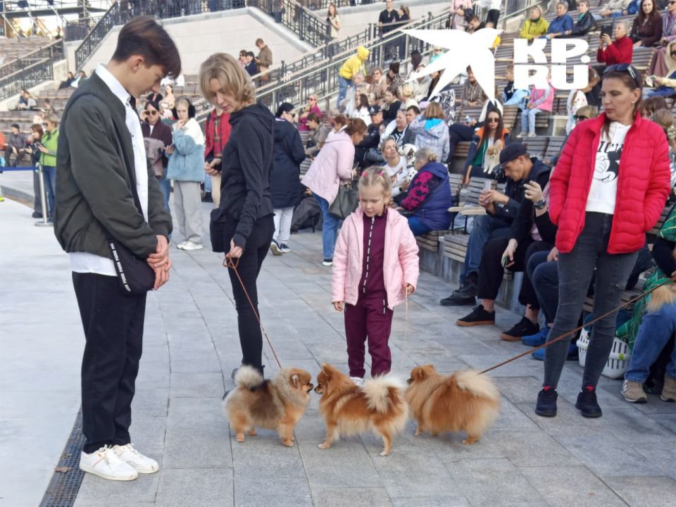 � ����������� ������ �������� �������� ����� ��������� ���������� ������!